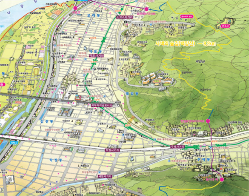 백양산 사색의 숲길